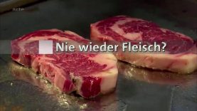 Chăn nuôi: Thức ăn cho người, thức ăn cho gia súc