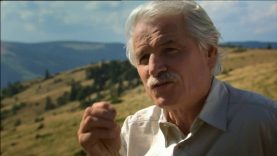 Nông nghiệp nào nuôi sống 6 tỷ người trên trái đất