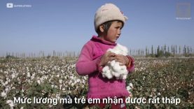 Tiết lộ những góc khuất ngành thời trang hiện đại ít được biết tới