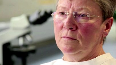 Chăn nuôi – Khi gia súc được nuôi bằng cây trồng