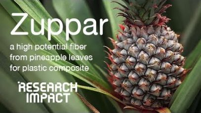 Làm các sản phẩm sợi từ là cây thơm (khóm) (Đại học Mahidol)