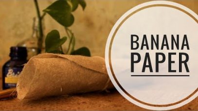 Làm giấy từ thân cây chuối