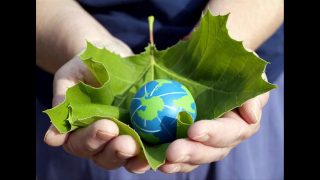 Sản phẩm xanh – Vật liệu từ cây chuối thay thế cho nhựa