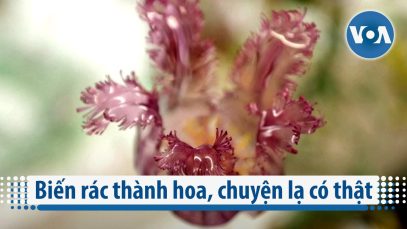 Biến rác thành hoa, chuyện lạ có thật