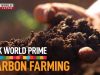 Carbon Farming: A Climate Solution Under Our Feet