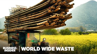 Can Bamboo Replace Paper And Plastic? And Should It?