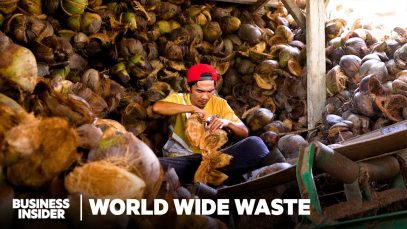 How Biodegradable Coolers Are Made Out Of Coconut Waste